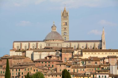 Kırmızı evleri olan Siena Panoraması, İtalyan Romanesk-Gotik tarzı katedral ve Piazza del Campo manzaralı Torre del Mangia..