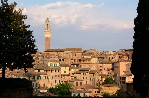 Kırmızı evleri olan Siena Panoraması, İtalyan Romanesk-Gotik tarzı katedral ve Piazza del Campo manzaralı Torre del Mangia..
