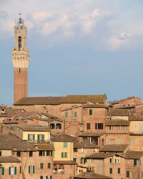 Kırmızı evleri olan Siena Panoraması, İtalyan Romanesk-Gotik tarzı katedral ve Piazza del Campo manzaralı Torre del Mangia..