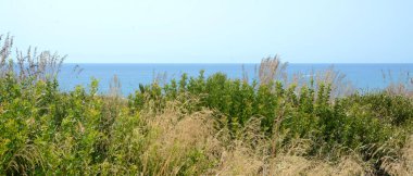 Turistler için hizmetlerle dolu Selinunte arkeoloji parkının eteğinde güçlü Akdeniz cazibesine sahip vahşi plajlar