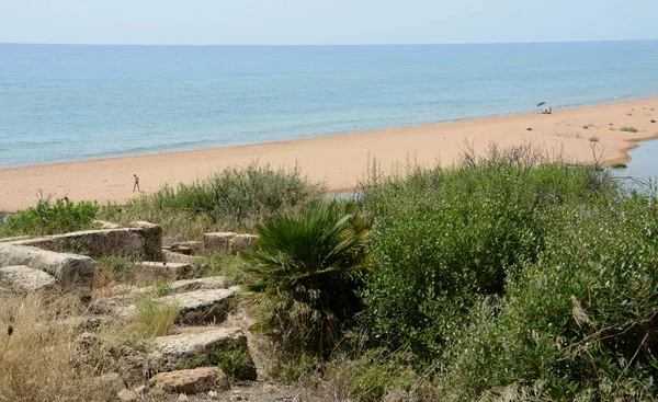 Дикие Пляжи Сильным Средиземноморским Шармом Подножия Археологического Парка Selinunte Полный — стоковое фото
