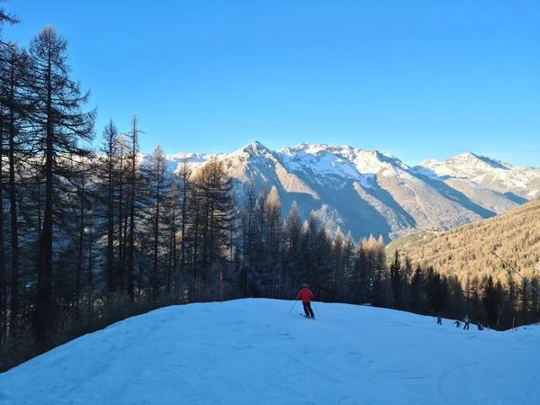 Mountains and woods in Sauze d\'Oulx on the ski slopes of the Via Lattea in Piedmont.