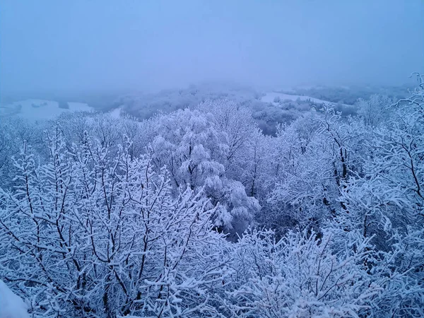 Schneebedeckte Äste Und Bäume Winter Erzeugen Einen Weihnachtlichen Effekt Dunklen — Stockfoto