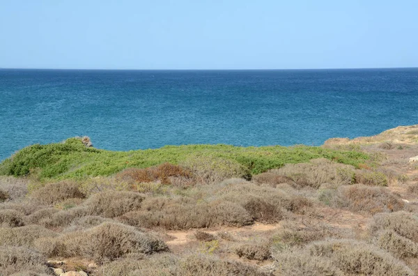 Muhteşem Sicilya Kokusu Ile Akdeniz Çalıları Kozalaklı Ağaçlar Kristal Sularının — Stok fotoğraf