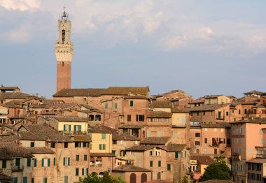 Kırmızı evleri olan Siena Panoraması, İtalyan Romanesk-Gotik tarzı katedral ve Piazza del Campo manzaralı Torre del Mangia..