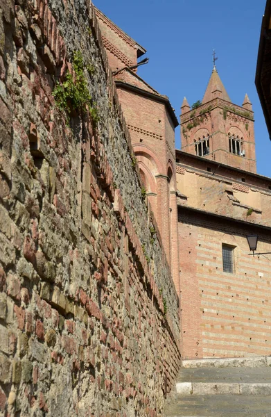 Die Basilika Santa Maria Dei Servi Befindet Sich Siena Und — Stockfoto
