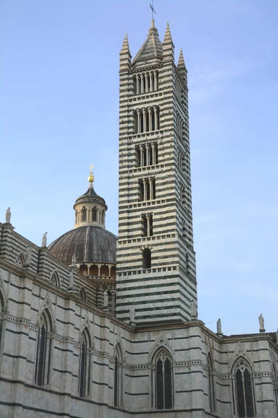 시에나 마리아 성당은 이탈리아 로마네스크 양식으로 이탈리아에서 아름다운 성당중 — 스톡 사진