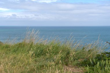 Normandiya sahilleri Derebeyi Operasyonu ve Normandiya Çıkarması ile bilinir. Sönük renkler ve dalgalar için uçsuz bucaksız plajlar, Kanal manzaralı kırsal kesimden saman yığınları..
