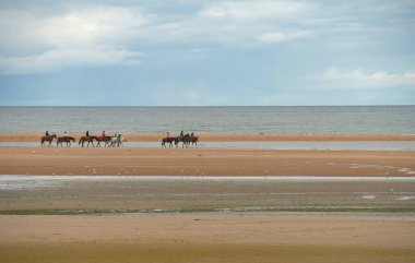 Normandiya sahilleri Derebeyi Operasyonu ve Normandiya Çıkarması ile bilinir. Sönük renkler ve dalgalar için uçsuz bucaksız plajlar, Kanal manzaralı kırsal kesimden saman yığınları..