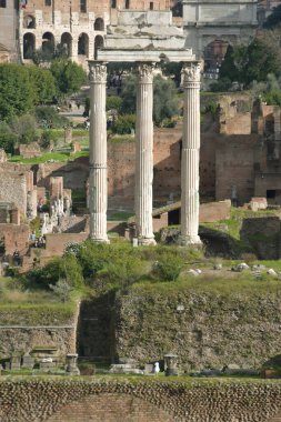 Görkemli mimari, ünlü kolezyum ve tarihi yapıların yer aldığı Roma manzarasını doldurur. Ziyaretçiler güneşli bir günde bu antik mekanlara hayran kalırlar..