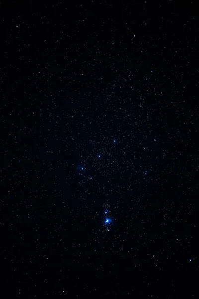 Orion constellation in the night starry sky, incredible wildlife