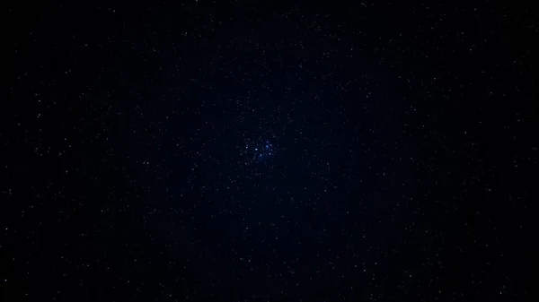 Aglomerado Estrelas Céu Noturno Incrível Vida Selvagem Imagens Royalty-Free