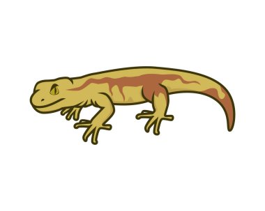 Simple Gecko Calmly Gazing Illustration