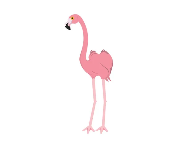 Stojící Flamingo Ilustrace Vizualizována Jednoduchou Ilustrací — Stockový vektor