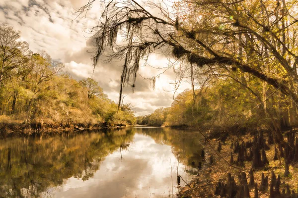 Paisaje Las Reflexiones Espeluznantes Largo Del Río Withlacoochee Florida Imagen De Stock