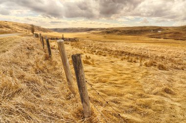 Landscape of Dramatic Stormy landscape of farmland with a barbed wired fence, Alberta, Canada