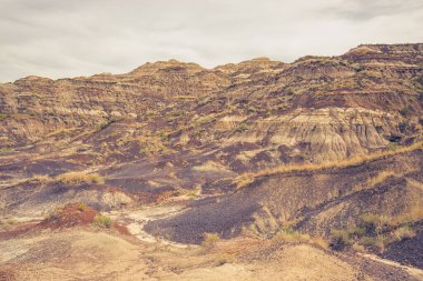 Drumheller, Alberta, Kanada Çorak Toprakları 'nın desenli manzarası