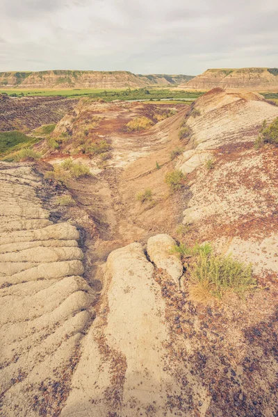 캐나다 앨버타주의 헬러에 모래땅의 황폐된 — 스톡 사진