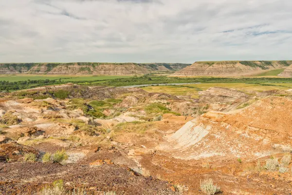 Drumheller Çorak Toprakları Nın Manzarası Uzakta Kızıl Geyik Nehri Alberta — Stok fotoğraf