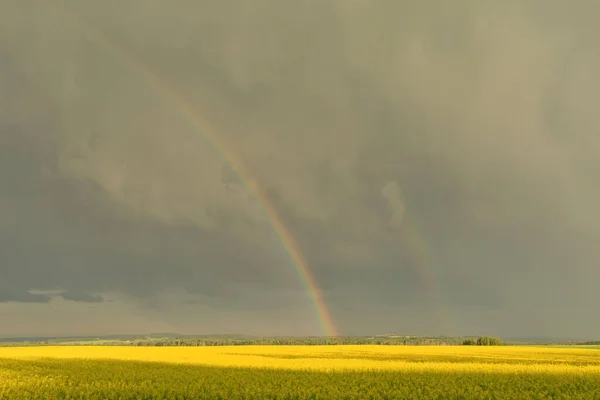 加拿大艾伯塔省 暴雨中双彩虹在水牛田上的景观 — 图库照片