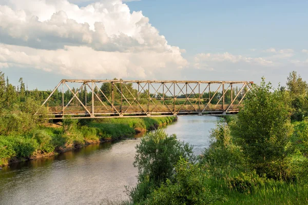 Rusty Bridge Sobre Pequeno Riacho Verão Cercado Por Folhagem — Fotografia de Stock