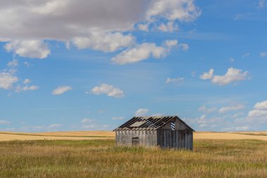 Çayırdaki terk edilmiş eski çiftlik binası bulutlu mavi gökyüzü, Alberta, Kanada