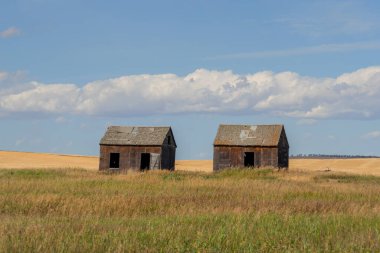 Çayırda terk edilmiş eski çiftlik binaları Bulutlu mavi gökyüzü, Alberta, Kanada