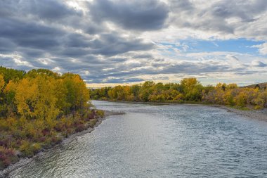 Calgary, Alberta, Kanada 'daki Bow Nehri' nin sonbahar manzarası.