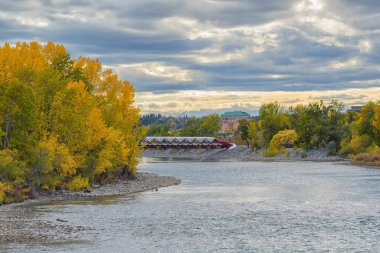 Calgary şehir merkezindeki Bow Nehri 'nin sonbahar manzarası. Arka planda Barış Köprüsü, Alberta, Kanada.
