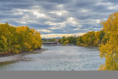Calgary şehir merkezindeki Bow Nehri 'nin sonbahar manzarası. Arka planda Barış Köprüsü, Alberta, Kanada.