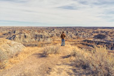 Alberta Dinozor İl Parkı, Alberta, Kanada manzarasına bakan yalnız bir adam.