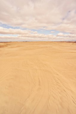 Great Sandhills Ekolojik Rezervi, Saskatchewan, Kanada manzarası