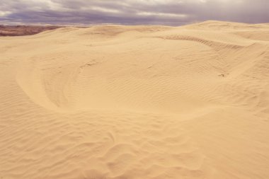 Sandhills Ekolojik Rezerv, Saskatchewan, Alberta 'nın desenli kumlu manzarası