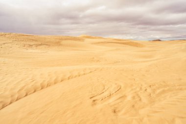 Sandhills Ekolojik Rezervinin desenli kumu, Saskatchewan, Kanada