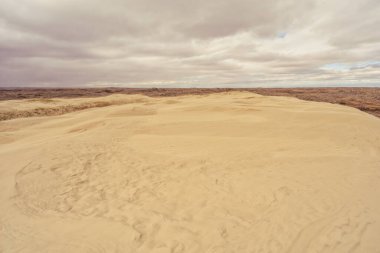 Great Sandhills Ekolojik Rezervi, Saskatchewan, Kanada manzarası
