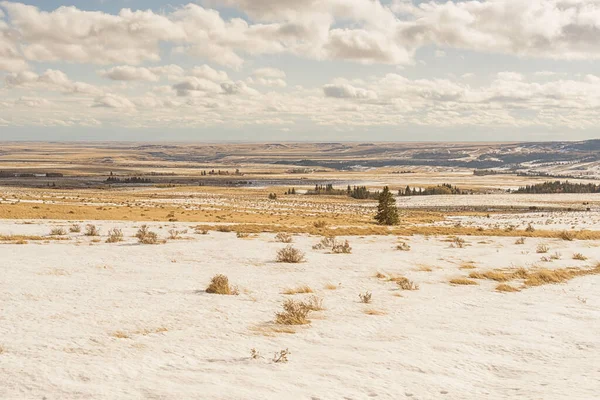カナダのアルバータ州の草原を横断する軽い雪 — ストック写真