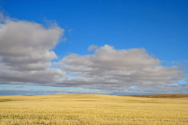 Blauwe Lucht Bewolkt Prairielandschap Saskatchewan Canada — Stockfoto