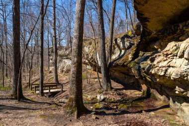 Indian Creek Doğa Yolu 'ndaki patika ve kayalıklar. Giant City Eyalet Parkı, Makanda, Illinois.