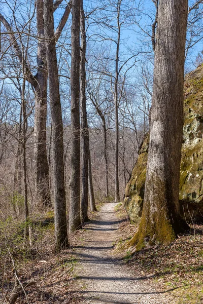 インディアンクリーク自然歩道のトレイルと崖 イリノイ州マカンダのジャイアントシティ州立公園 — ストック写真