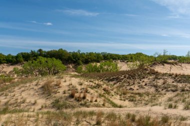 Warren Dunes Eyalet Parkı 'ndaki kum tepeleri, Michigan, ABD.