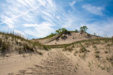 Warren Dunes Eyalet Parkı 'ndaki kum tepeleri, Michigan, ABD.