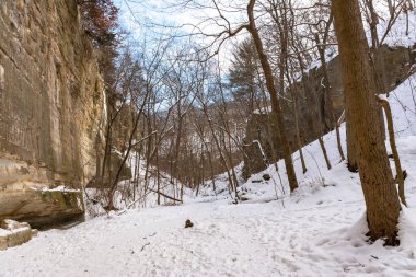 Karla kaplı bir kış sabahı Ottawa Kanyonu 'nda yürüyüş parkurunda. Aç Rock State Park, Illinois, ABD.