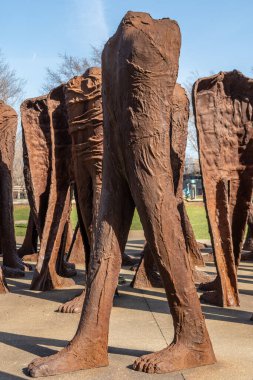 Chicago, Illinois - ABD - 11 Mart 2024: Sanatçı Magdalena Abakowicz 'in 