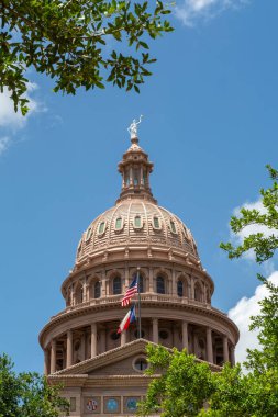 Teksas Eyalet Kongre Binası 'nda öğleden sonra ışığı. Austin, Teksas, ABD.