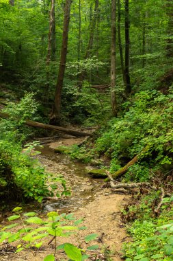 Shades Eyalet Parkı 'nın etrafındaki vadilerde yürüyüş yapmak. Indiana, ABD.