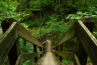 Shades Eyalet Parkı 'nın etrafındaki vadilerde yürüyüş yapmak. Indiana, ABD.