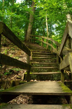 Shades Eyalet Parkı 'nın etrafındaki vadilerde yürüyüş yapmak. Indiana, ABD.