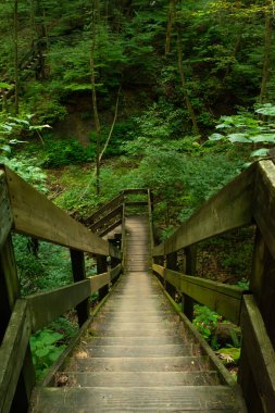 Shades Eyalet Parkı 'nın etrafındaki vadilerde yürüyüş yapmak. Indiana, ABD.
