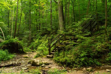 Shades Eyalet Parkı 'nın etrafındaki vadilerde yürüyüş yapmak. Indiana, ABD.