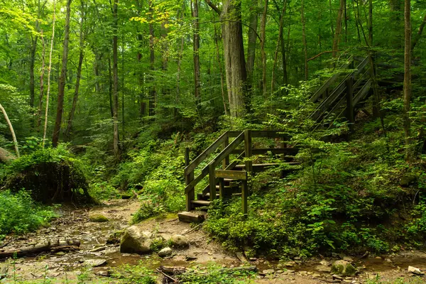 Shades Eyalet Parkı 'nın etrafındaki vadilerde yürüyüş yapmak. Indiana, ABD.